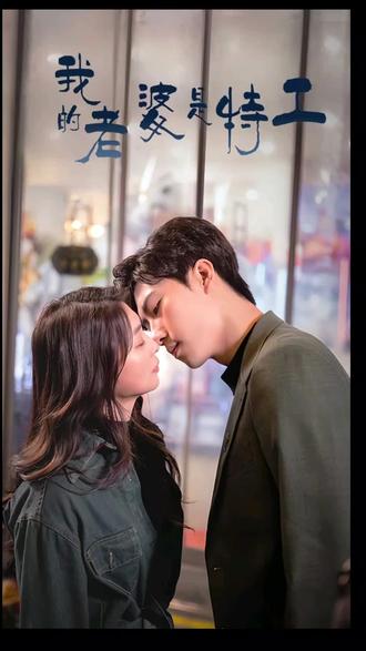 我的老婆是特工 1-20集