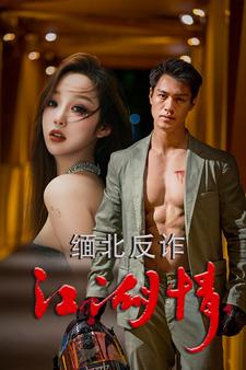 缅北反诈江湖情 全集(大结局)