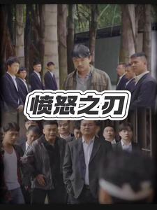 愤怒之刃 全集(大结局)