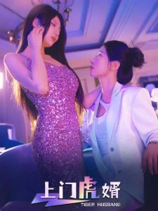 上门虎婿 全集(大结局)